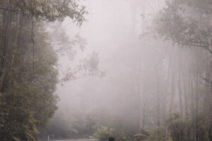 person walking in the middle of the road