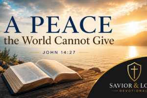 A Peace the World Cannot Give