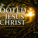 Rooted in Jesus Christ