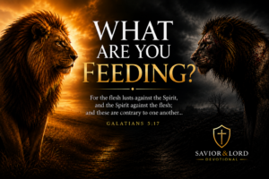 What Are You Feeding?