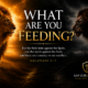 What Are You Feeding?